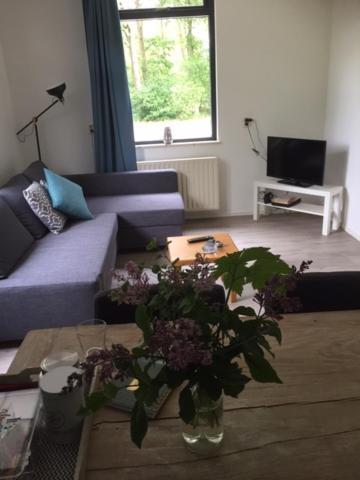 Speldehof Bed & Breakfast Kraggenburg Luaran gambar